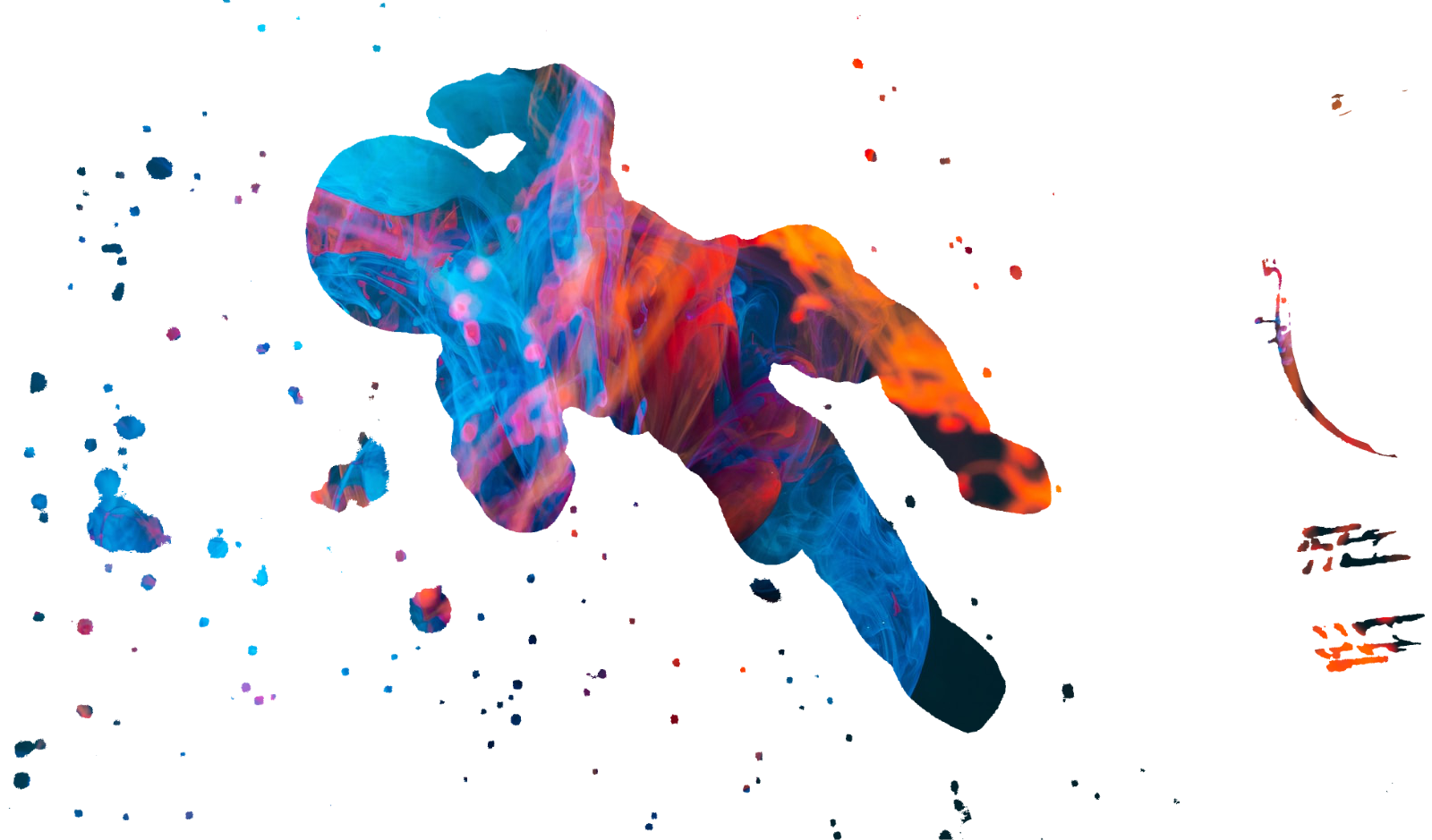 Pingtail Hero Image